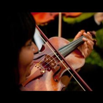 Divisi Strings | Big Sounds for your Big Day - String Quartet - Houston, TX - Hero Main