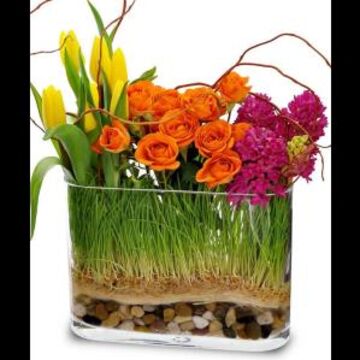 Adrian Durban Florist & Gifts - Florist - Cincinnati, OH - Hero Main