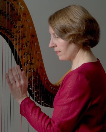 Nancy Paterson - Harpist - Ravenna, OH - Hero Main