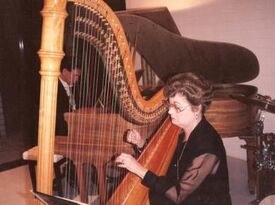 Patricia Furley - Harpist - Harpist - Corpus Christi, TX - Hero Gallery 2