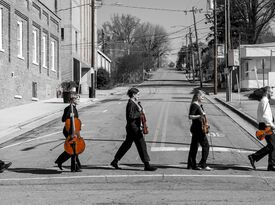 SUMMIT Strings - String Quartet - Boone, NC - Hero Gallery 1