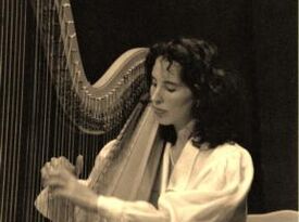 Robin Purchas, Harpist - Harpist - Sammamish, WA - Hero Gallery 4