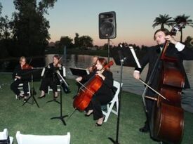 Four Seasons String Quartet - String Quartet - Scottsdale, AZ - Hero Gallery 3