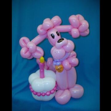 Hey Balloon Lady and Birthday Party People - Balloon Twister - San Jose, CA - Hero Main