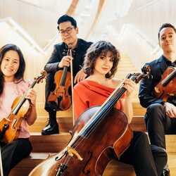 Stampede String Quartet, profile image