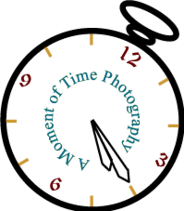 A Moment of Time Photography - Photographer - Reno, NV - Hero Main