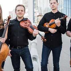 The Narrows String Quartet, profile image