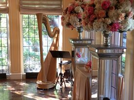 Margaret Atkinson -  4 The Dallas Strings - Harpist - Dallas, TX - Hero Gallery 2