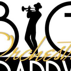 Big Daddy Orchestra, profile image