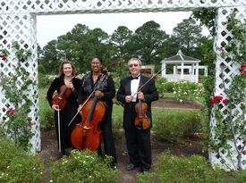 Arte Musicale String Ensemble - String Quartet - Williamsburg, VA - Hero Gallery 4