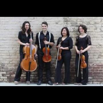 Piedmont Strings - Classical Quartet - Atlanta, GA - Hero Main