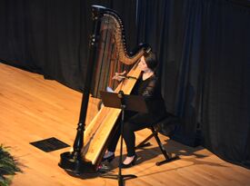 Alyssa Hall, Professional Harpist - Harpist - Stedman, NC - Hero Gallery 3