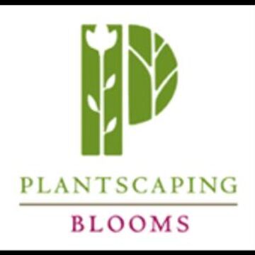 Plantscaping Blooms - Florist - Cleveland, OH - Hero Main