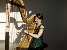 Lisa Marie Kahn - Harpist - Chicago, IL - Hero Gallery 4