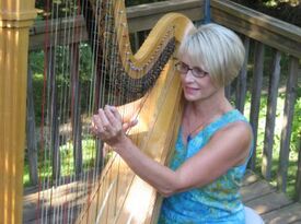 Jane Kauffman Brye - Harpist - Lancaster, PA - Hero Gallery 2