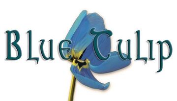 Blue Tulip - Jazz Duo - Oak Island, NC - Hero Main