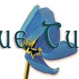 Blue Tulip, profile image