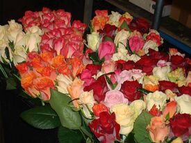Send Your Love Florist & Gifts - Florist - Greensboro, NC - Hero Gallery 3
