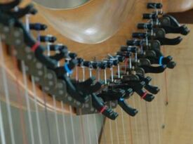 Rachel Avery (harp, piano) & Terri Pepper (violin) - Harpist - Madison, WI - Hero Gallery 1