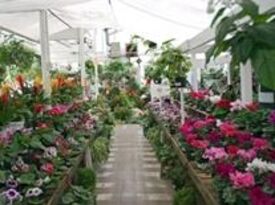 Vissers Florist & Greenhouses - Florist - Anaheim, CA - Hero Gallery 4