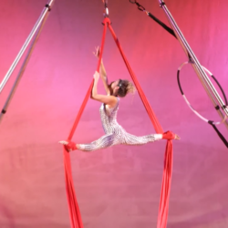 StepFlix Entertainment Circus Acts, profile image