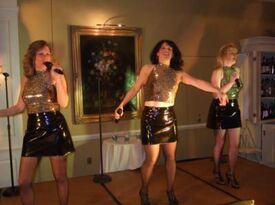 The Glamour Girls - Dance Band - Wethersfield, CT - Hero Gallery 3