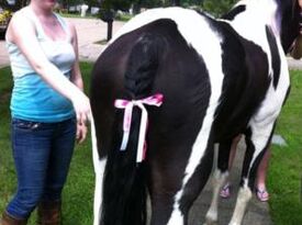 Ponies For Parties - Animal For A Party - Strongsville, OH - Hero Gallery 3