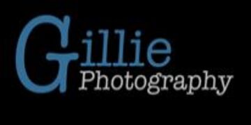 Gillie Photography - Photographer - Madison, WI - Hero Main