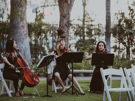 Organic String Quartet - String Quartet - Los Angeles, CA - Hero Gallery 4