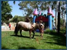 The Tiny Trotters- Pony Rides - Animal For A Party - Pine Grove, CA - Hero Gallery 2