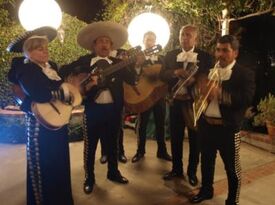 Aurelio Reyes El Gallo de Chiapas Mariachi Trio - Mariachi Band - Los Angeles, CA - Hero Gallery 4