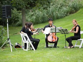 Wedding and Events String Ensemble - String Quartet - Milwaukee, WI - Hero Gallery 2
