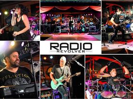 Radio Revolver - Classic Rock Band - Greensboro, NC - Hero Gallery 2