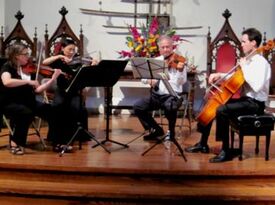 Leesburg String Quartet - String Quartet - Leesburg, VA - Hero Gallery 2