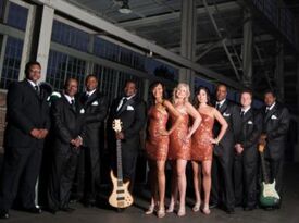 The Malemen Show Band - Motown Band - Chattanooga, TN - Hero Gallery 1