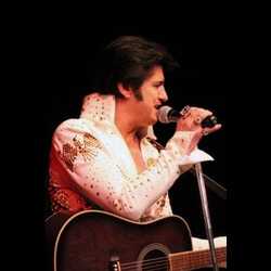 Davey Kratz - Elvis Impersonator, profile image