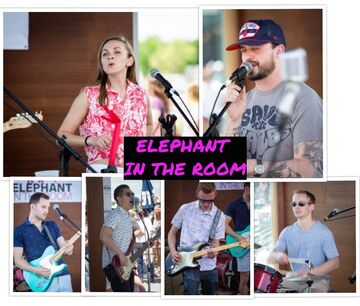 Elephant In The Room - Cover Band - Waltham, MA - Hero Main