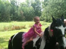 Ponies For Parties - Animal For A Party - Strongsville, OH - Hero Gallery 1