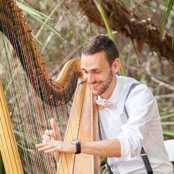 The Coastal Harpist, profile image