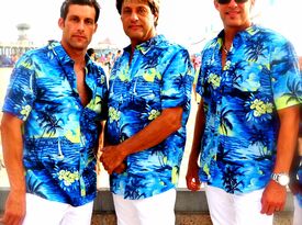 Surfs Up - Beach Boys Tribute Band - San Diego, CA - Hero Gallery 1