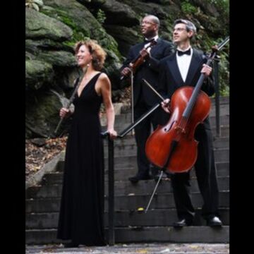 The Four Seasons Ensemble - Classical Quartet - New York City, NY - Hero Main
