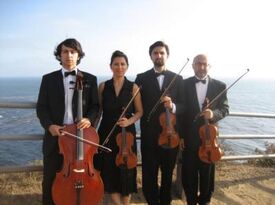Elegant Violin Music - String Quartet - Berkeley, CA - Hero Gallery 1