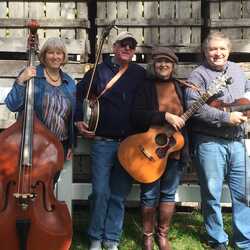 Free Range Bluegrass Band, profile image