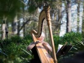 Harp by Mary Margaret Jones - Harpist - Suffolk, VA - Hero Gallery 2