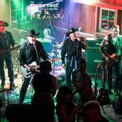 The Prairie Dogz - The Funnest Rock'n Country Band, profile image