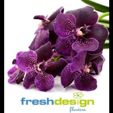 Fresh Design Flowers - Florist - Milwaukee, WI - Hero Main