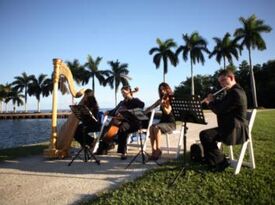Elegant Musicians, LLC. - String Quartet - Miami, FL - Hero Gallery 1