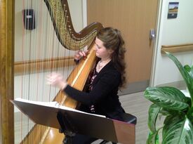 Hannah Artfitch - Harpist - Gaylord, MI - Hero Gallery 1