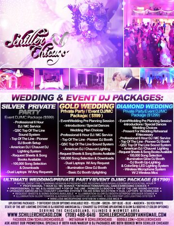 Schiller Chicago Wedding & Event DJS - DJ - Villa Park, IL - Hero Main
