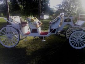 Every Kids Dream Petting Zoo, & Horse Carriage - Event Limo - Loxahatchee, FL - Hero Gallery 4